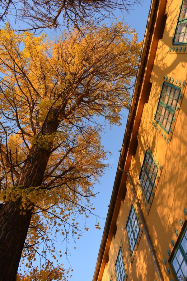 Zsolnay Negyed Vendeghaza Aparthotel เปตช์ ภายนอก รูปภาพ